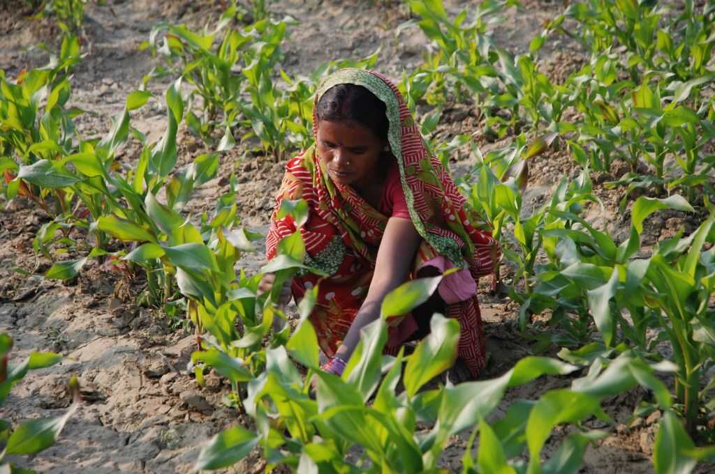 How GeoSvasth Supports Farmers and Sustainability