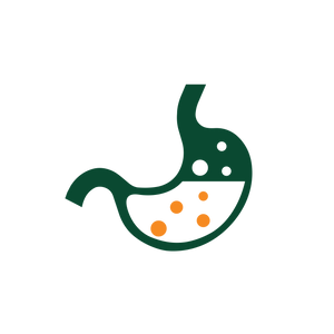 Supports Digestion