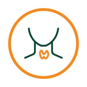 Support Thyroid